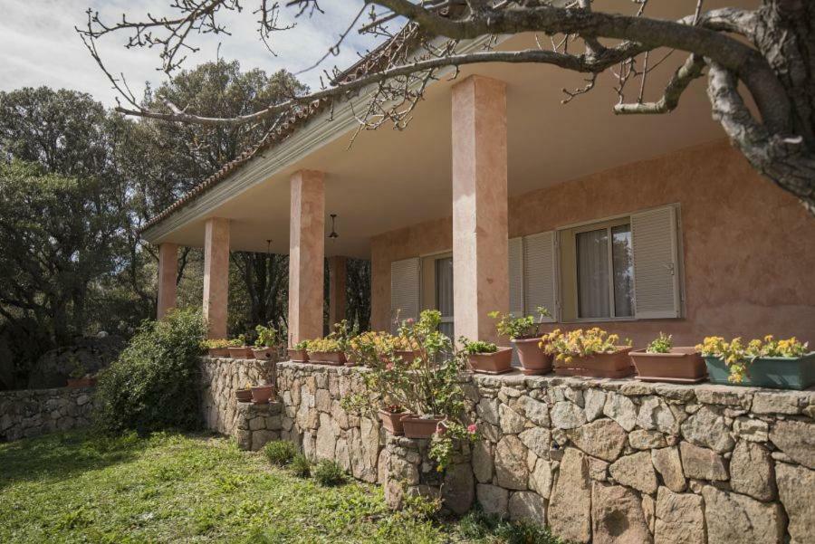 Fumu Ludurru Farm Stay Padru Exterior foto