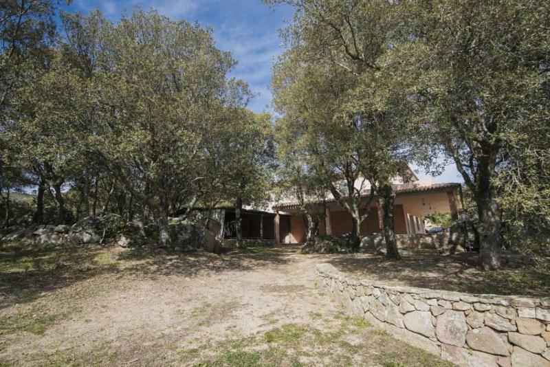 Fumu Ludurru Farm Stay Padru Exterior foto